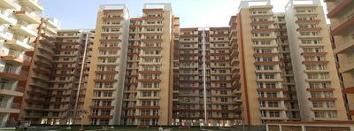 3 BHK Apartment