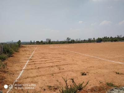 Residential Plot