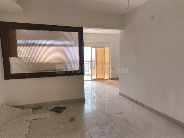 Divyansh Onyx - Image 4