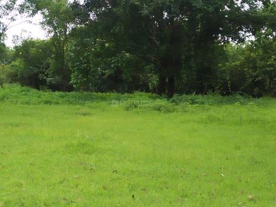 Gallery Cover Image of Sq.ft Residential Plot for buy in Uran for 400000