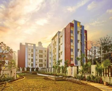 3 BHK Apartment