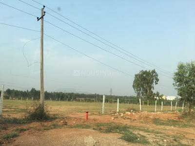 Residential Plot