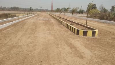 Gallery Cover Image of Sq.ft Residential Plot for buy in Naubasta for 1400000