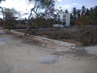 Residential Plot