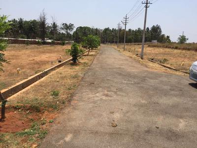 Residential Plot