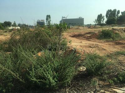 Residential Plot