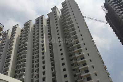 Gallery Cover Image of 1850 Sq.ft 3.5 BHK Apartment for buy in Raj Nagar Extension for 5650000