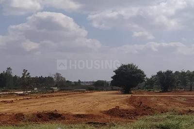 Residential Plot