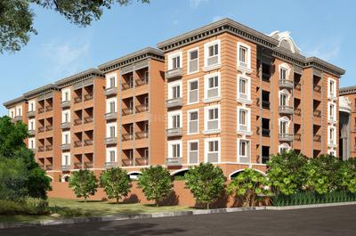 3 BHK Apartment