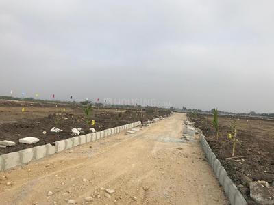 Residential Plot