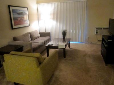 1 BHK Apartment