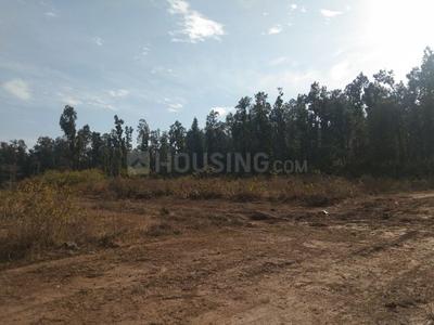 Residential Plot