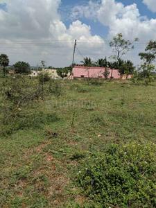 Gallery Cover Image of Sq.ft Residential Plot for buy in Othakalmandapam for 1150000