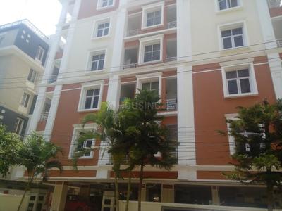 3 BHK Apartment