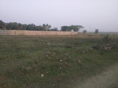 Residential Plot