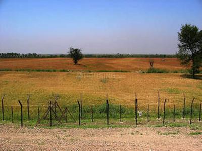 Residential Plot