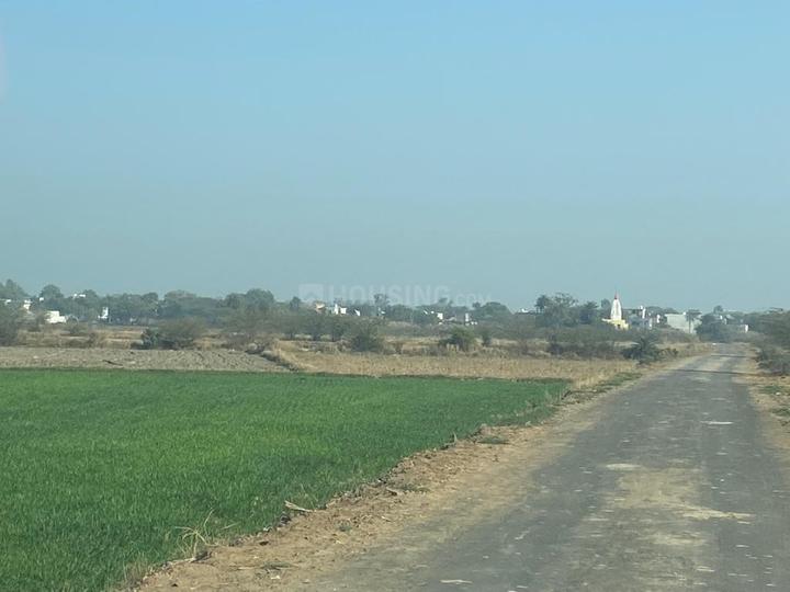 43560 Sqft Agricultural Land for Sale in Mandkola, Palwal Property ID