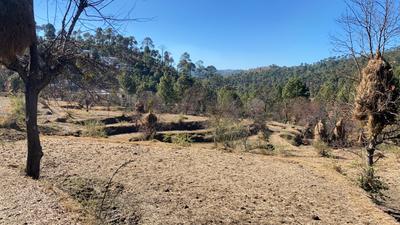 1000 Sq.ft Residential Plot for Sale in Khari Bazar, Ranikhet