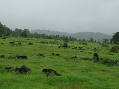 Gallery Cover Image of Sq.ft Residential Plot for buy in Hinjewadi for 350000