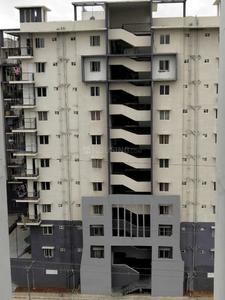 3 BHK Apartment