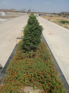 Gallery Cover Image of Sq.ft Residential Plot for buy in Rau for 1221000