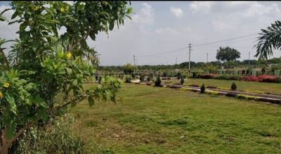 Residential Plot