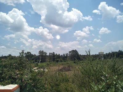 Gallery Cover Image of Sq.ft Residential Plot for buy in Kammanahalli for 21000000