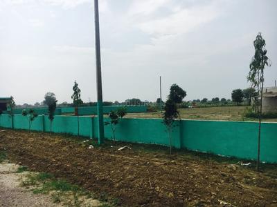 Residential Plot