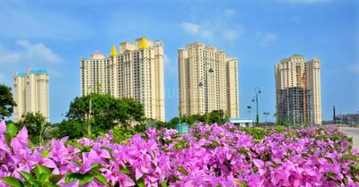 3 BHK Apartment