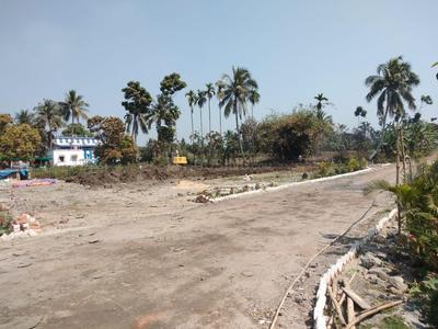 Gallery Cover Image of Sq.ft Residential Plot for buy in Shyamnagar for 460000