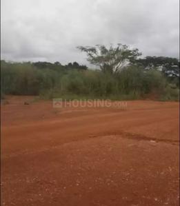 Gallery Cover Image of Sq.ft Residential Plot for buy in Uran for 600000