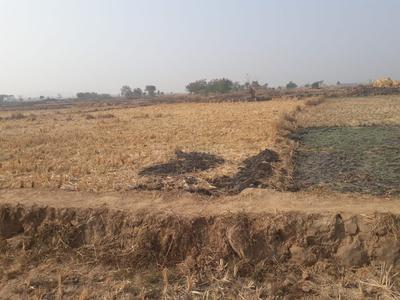 Gallery Cover Image of Sq.ft Residential Plot for buy in Jui for 400000