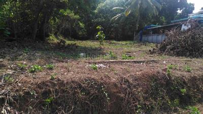 Gallery Cover Image of Sq.ft Residential Plot for buy in Kolazhy for 4375000