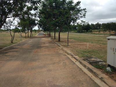 Residential Plot