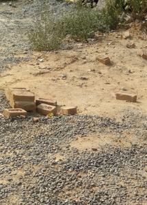 Gallery Cover Image of Sq.ft Residential Plot for buy in Sector 46 for 39501000