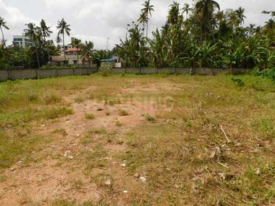 Gallery Cover Image of Sq.ft Residential Plot for buy in Pettah for 1000000