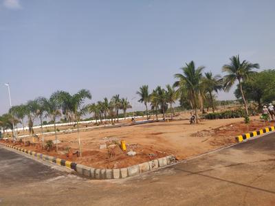 Gallery Cover Image of Sq.ft Residential Plot for buy in Shankarpally for 3230000