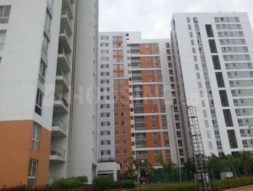 3 BHK Apartment