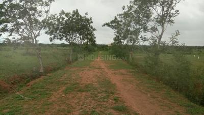 Residential Plot