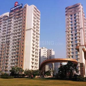 3 BHK Apartment