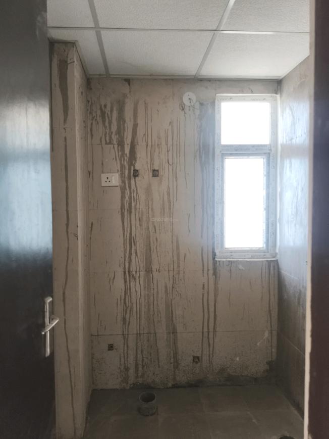 Apex Aura - Image 10