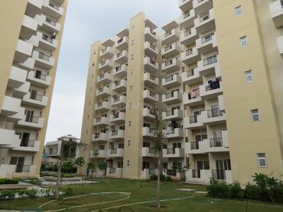 3 BHK Apartment