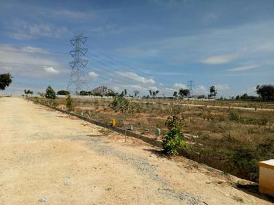 Residential Plot