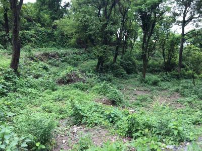 8100 Sq.ft Residential Plot for Sale in Bhagwant Pur, Dehradun