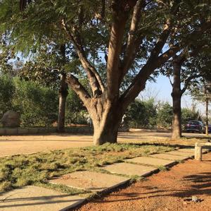 250 Sq.ft Residential Plot for Sale in Raghunathapally, Hyderabad