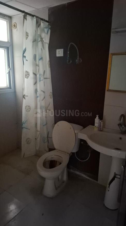 Saviour Greenisle - Image 13