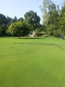 Gallery Cover Image of Sq.ft Residential Plot for buy in Chhattarpur for 68000000
