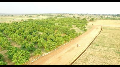 Residential Plot