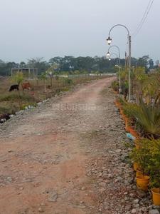 Gallery Cover Image of Sq.ft Residential Plot for buy in Rasapunja for 500000