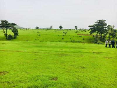 Residential Plot